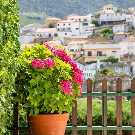 Casa De São Bernardo By Lovelystay Casa de Férias Lamego