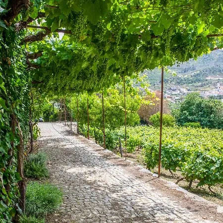 Casa De São Bernardo By Lovelystay