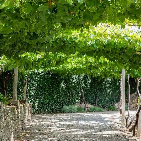 Casa De São Bernardo By Lovelystay * Lamego