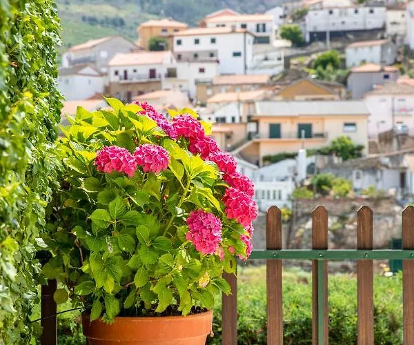 Casa De Sao Bernardo By Lovelystay Σπίτι διακοπών Lamego