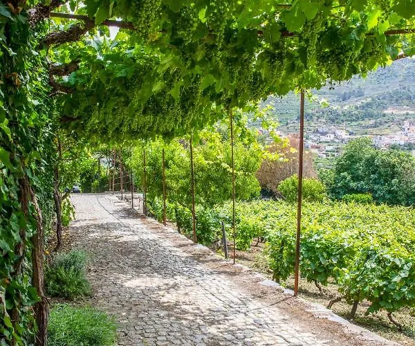 Casa De Sao Bernardo By Lovelystay