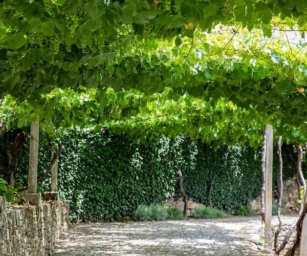 Casa De Sao Bernardo By Lovelystay * Lamego