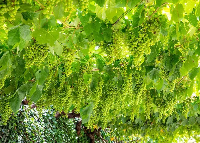 Casa De Sao Bernardo By Lovelystay Σπίτι διακοπών *